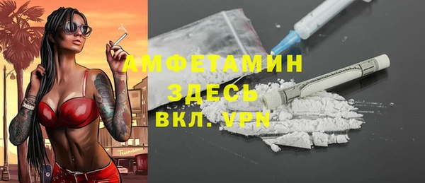 мет Алексин